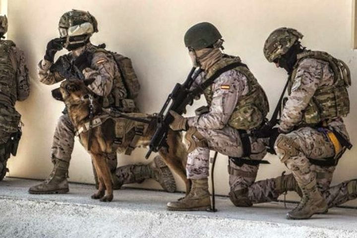 EJÉRCITO DE TIERRA - ESPECIALIDADES